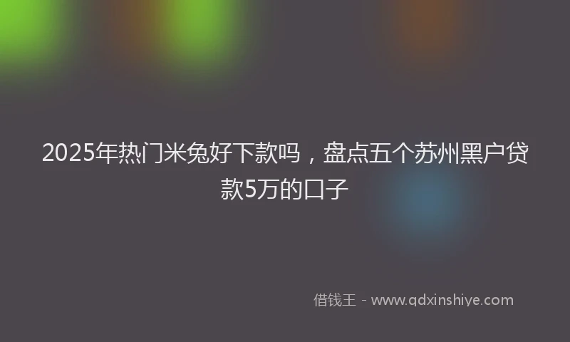 2025年热门米兔好下款吗，盘点五个苏州黑户贷款5万的口子