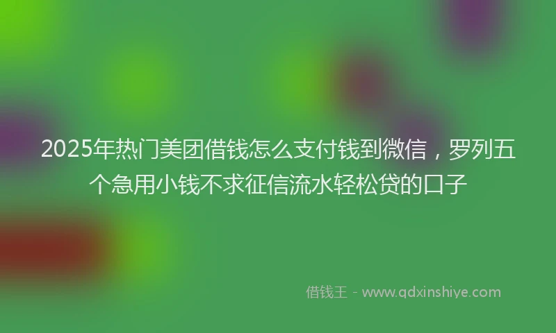 2025年热门美团借钱怎么支付钱到微信，罗列五个急用小钱不求征信流水轻松贷的口子