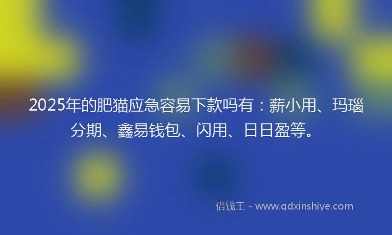 2025年的肥猫应急容易下款吗有:薪小用、玛瑙分期、鑫易钱包、闪用、日日盈等。