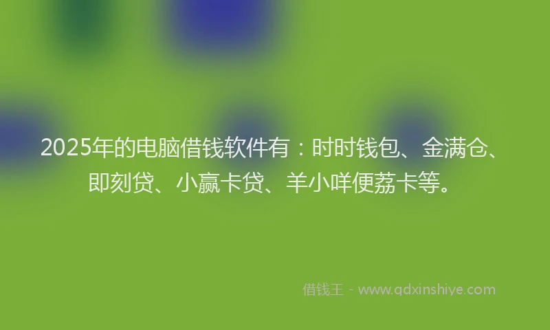 2025年的电脑借钱软件有：时时钱包、金满仓、即刻贷、小赢卡贷、羊小咩便荔卡等。