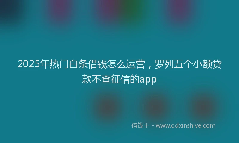 2025年热门白条借钱怎么运营,罗列五个小额贷款不查征信的app