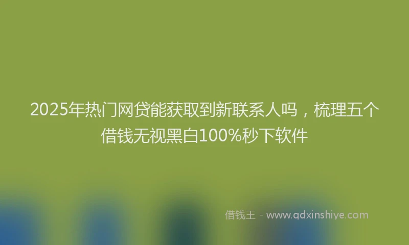 2025年热门网贷能获取到新联系人吗，梳理五个借钱无视黑白100%秒下软件