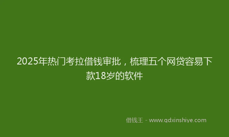 2025年热门考拉借钱审批，梳理五个网贷容易下款18岁的软件