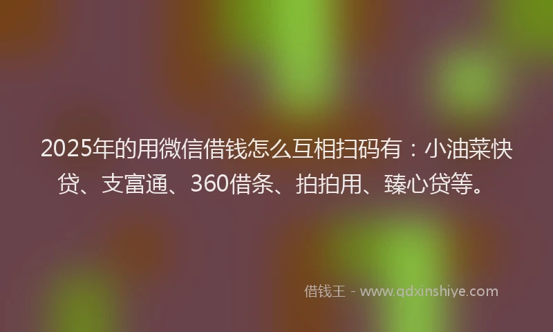 2025年的用微信借钱怎么互相扫码有：小油菜快贷、支富通、360借条、拍拍用、臻心贷等。