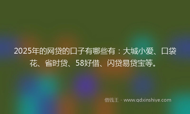 2025年的网贷的口子有哪些有：大城小爱、口袋花、省时贷、58好借、闪贷易贷宝等。