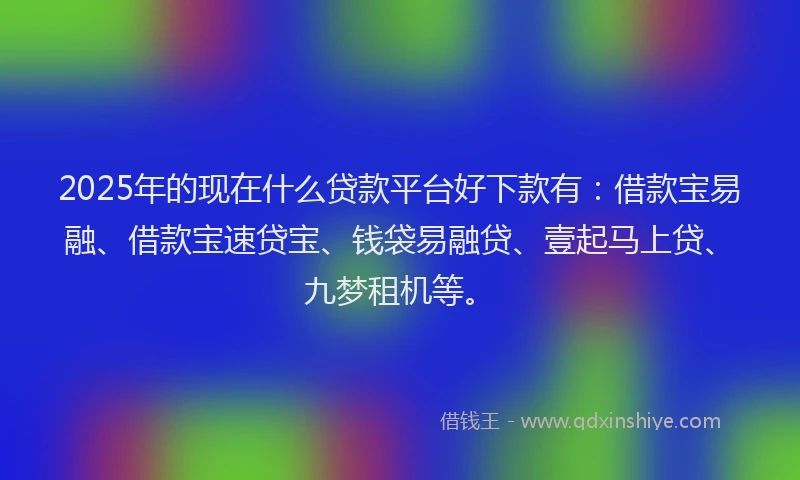 2025年的现在什么贷款平台好下款有:借款宝易融、借款宝速贷宝、钱袋易融贷、壹起马上贷、九梦租机等。