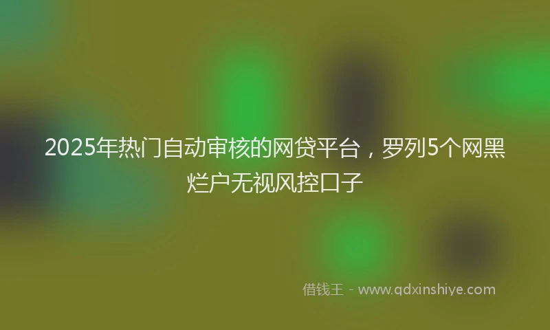 2025年热门自动审核的网贷平台，罗列5个网黑烂户无视风控口子