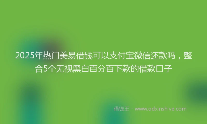 2025年热门美易借钱可以支付宝微信还款吗，整合5个无视黑白百分百下款的借款口子