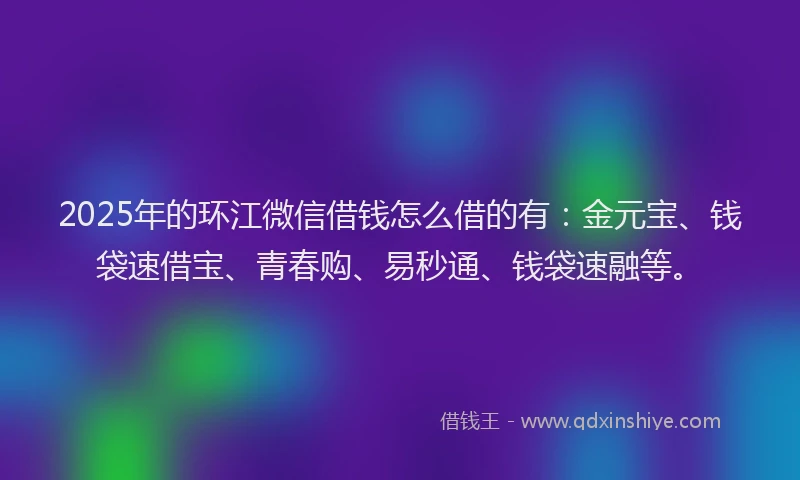2025年的环江微信借钱怎么借的有:金元宝、钱袋速借宝、青春购、易秒通、钱袋速融等。