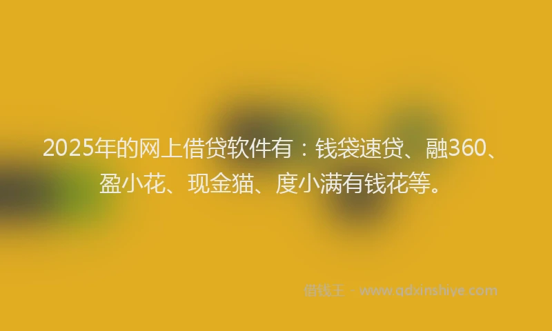 2025年的网上借贷软件有：钱袋速贷、融360、盈小花、现金猫、度小满有钱花等。