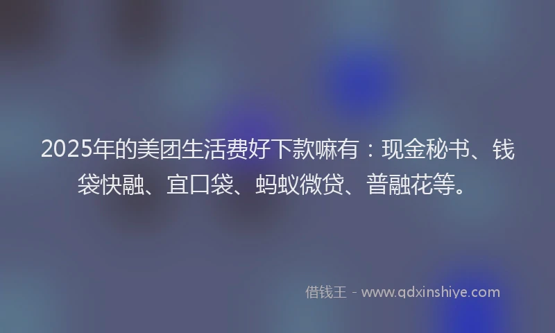2025年的美团生活费好下款嘛有：现金秘书、钱袋快融、宜口袋、蚂蚁微贷、普融花等。