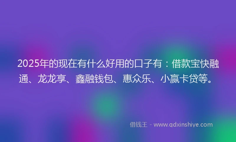 2025年的现在有什么好用的口子有：借款宝快融通、龙龙享、鑫融钱包、惠众乐、小赢卡贷等。
