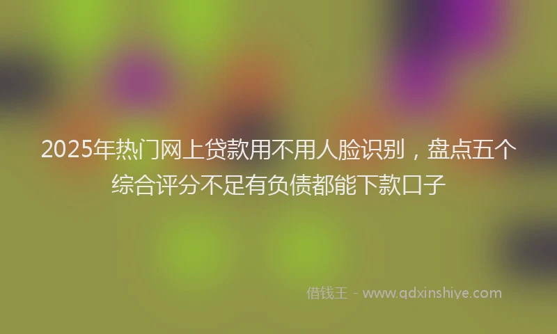 2025年热门网上贷款用不用人脸识别，盘点五个综合评分不足有负债都能下款口子