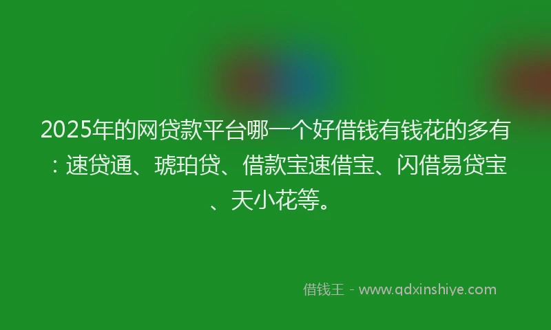 2025年的网贷款平台哪一个好借钱有钱花的多有：速贷通、琥珀贷、借款宝速借宝、闪借易贷宝、天小花等。