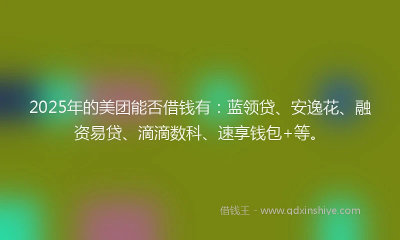 2025年的美团能否借钱有：蓝领贷、安逸花、融资易贷、滴滴数科、速享钱包+等。
