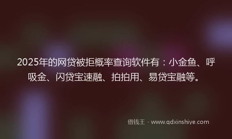 2025年的网贷被拒概率查询软件有：小金鱼、呼吸金、闪贷宝速融、拍拍用、易贷宝融等。