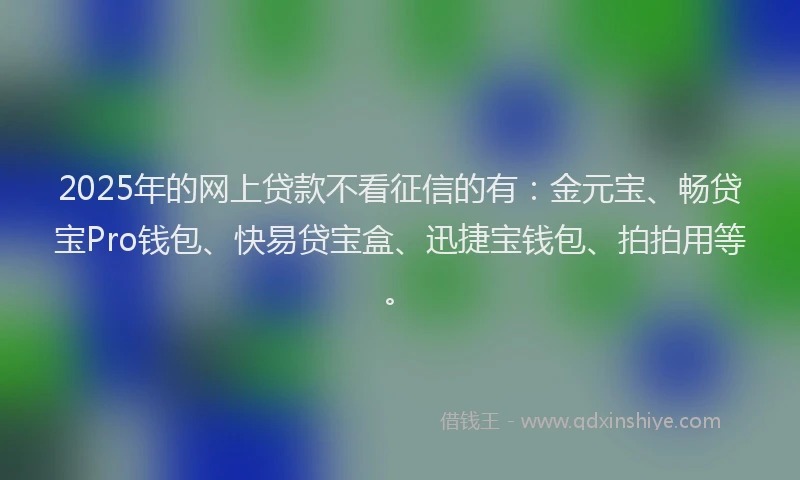 2025年的网上贷款不看征信的有:金元宝、畅贷宝Pro钱包、快易贷宝盒、迅捷宝钱包、拍拍用等。