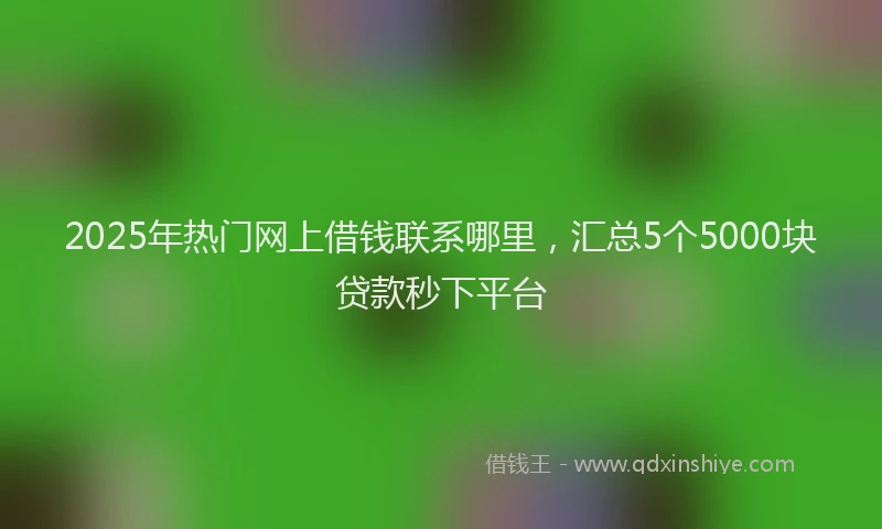 2025年热门网上借钱联系哪里，汇总5个5000块贷款秒下平台