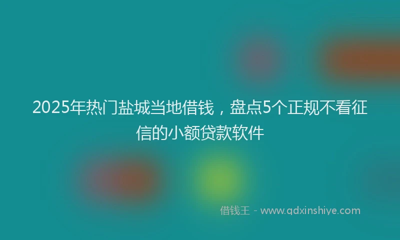 2025年热门盐城当地借钱，盘点5个正规不看征信的小额贷款软件