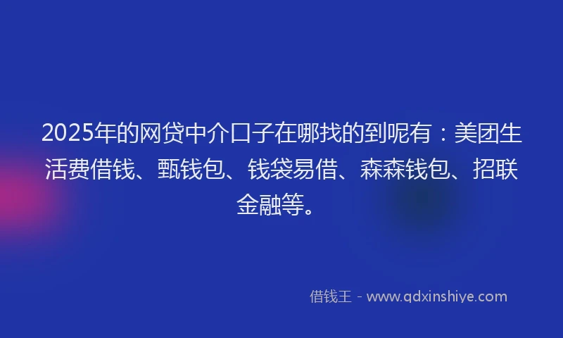 2025年的网贷中介口子在哪找的到呢有：美团生活费借钱、甄钱包、钱袋易借、森森钱包、招联金融等。