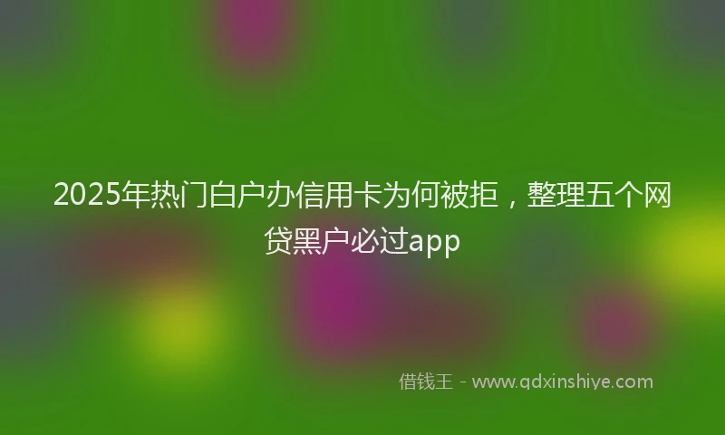 2025年热门白户办信用卡为何被拒，整理五个网贷黑户必过app