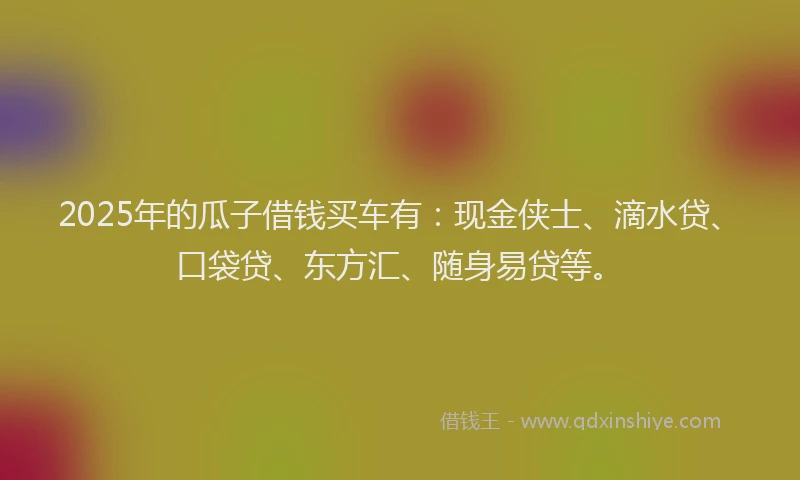 2025年的瓜子借钱买车有：现金侠士、滴水贷、口袋贷、东方汇、随身易贷等。