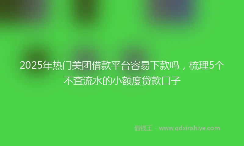 2025年热门美团借款平台容易下款吗，梳理5个不查流水的小额度贷款口子