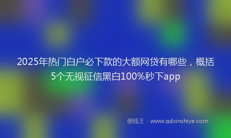 2025年热门白户必下款的大额网贷有哪些，概括5个无视征信黑白100%秒下app