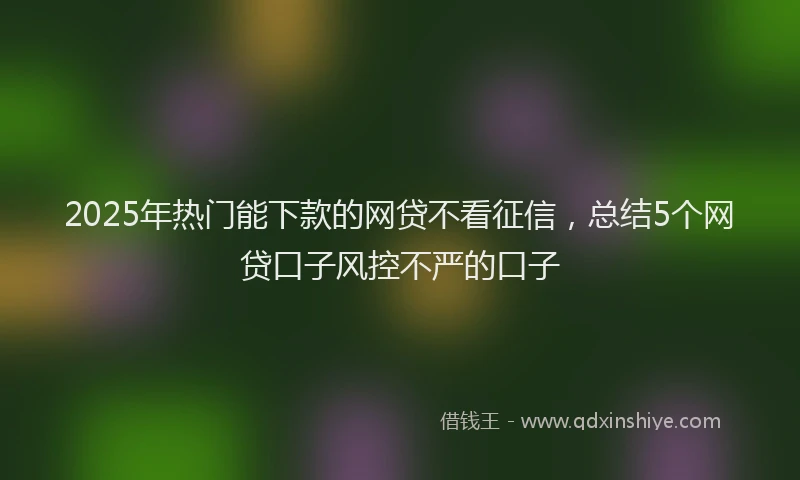 2025年热门能下款的网贷不看征信,总结5个网贷口子风控不严的口子
