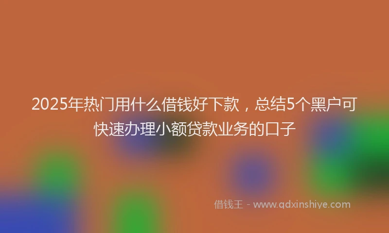 2025年热门用什么借钱好下款,总结5个黑户可快速办理小额贷款业务的口子