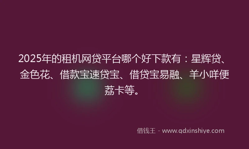 2025年的租机网贷平台哪个好下款有：星辉贷、金色花、借款宝速贷宝、借贷宝易融、羊小咩便荔卡等。