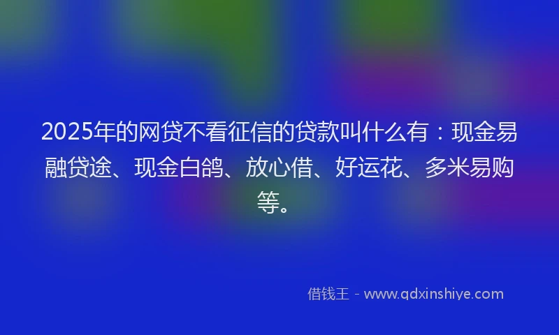 2025年的网贷不看征信的贷款叫什么有：现金易融贷途、现金白鸽、放心借、好运花、多米易购等。