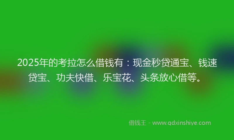 2025年的考拉怎么借钱有：现金秒贷通宝、钱速贷宝、功夫快借、乐宝花、头条放心借等。