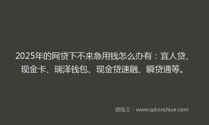 2025年的网贷下不来急用钱怎么办有：宜人贷、现金卡、瑞泽钱包、现金贷速融、瞬贷通等。