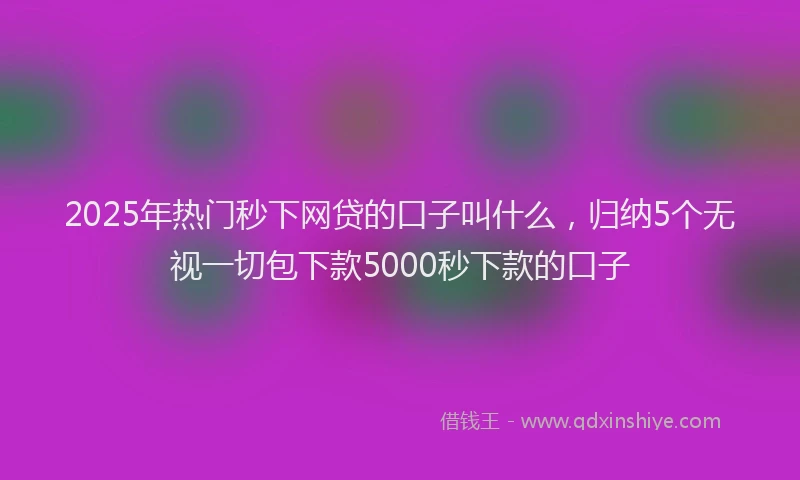 2025年热门秒下网贷的口子叫什么，归纳5个无视一切包下款5000秒下款的口子