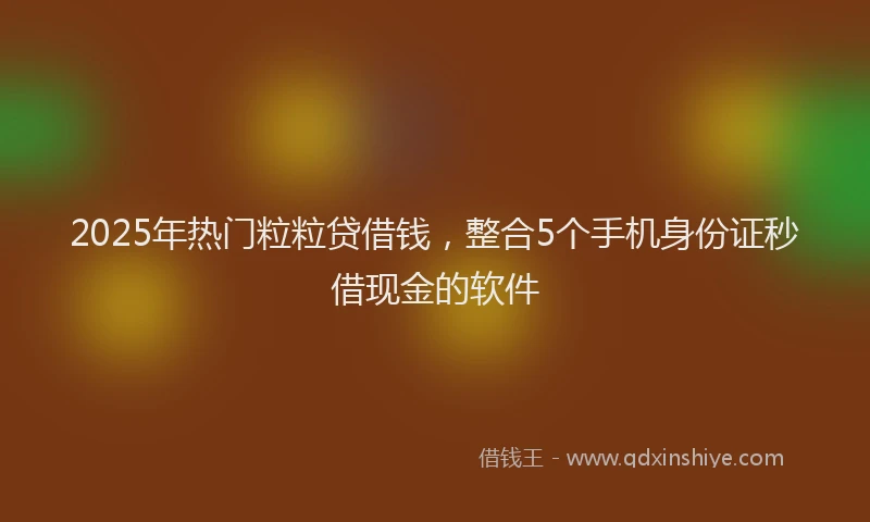 2025年热门粒粒贷借钱，整合5个手机身份证秒借现金的软件