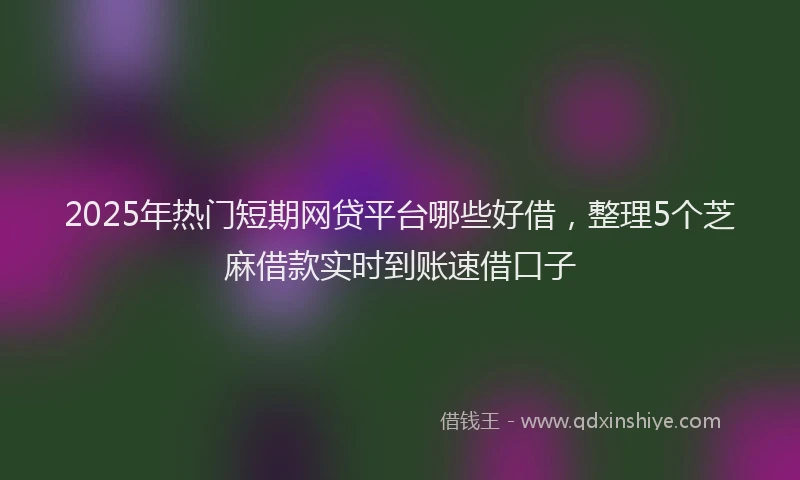 2025年热门短期网贷平台哪些好借，整理5个芝麻借款实时到账速借口子