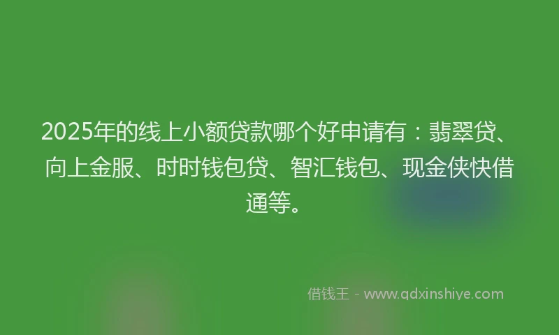2025年的线上小额贷款哪个好申请有：翡翠贷、向上金服、时时钱包贷、智汇钱包、现金侠快借通等。