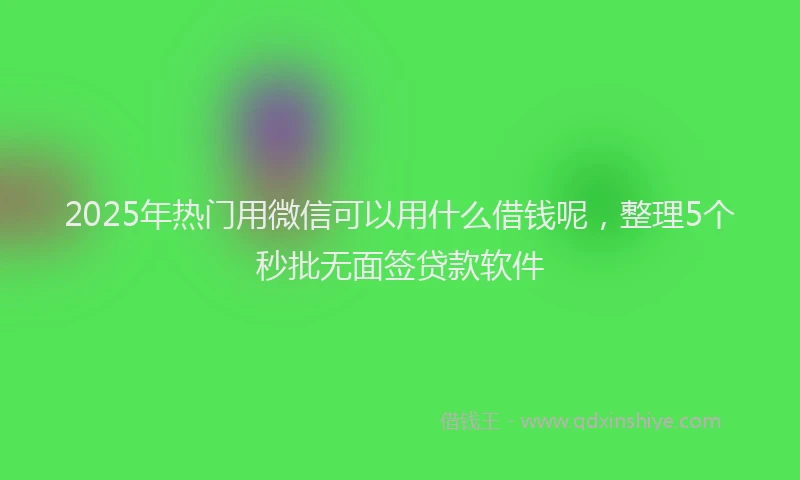 2025年热门用微信可以用什么借钱呢，整理5个秒批无面签贷款软件