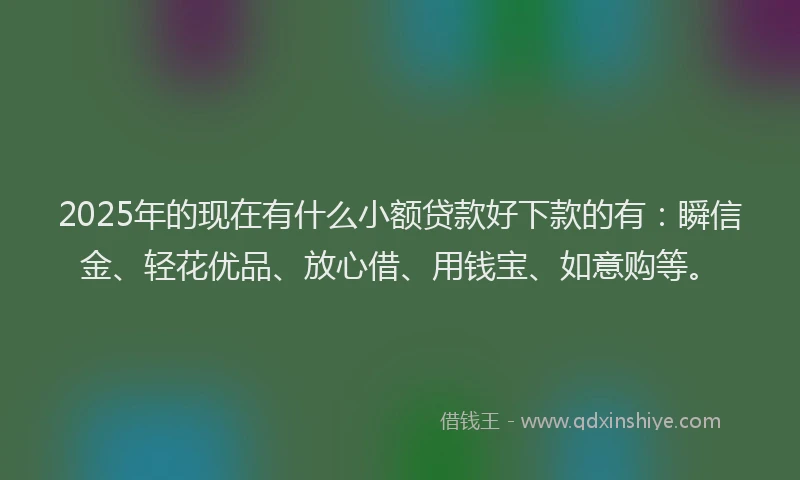 2025年的现在有什么小额贷款好下款的有：瞬信金、轻花优品、放心借、用钱宝、如意购等。