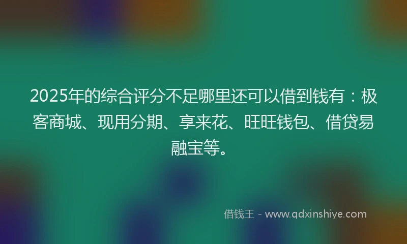 2025年的综合评分不足哪里还可以借到钱有:极客商城、现用分期、享来花、旺旺钱包、借贷易融宝等。