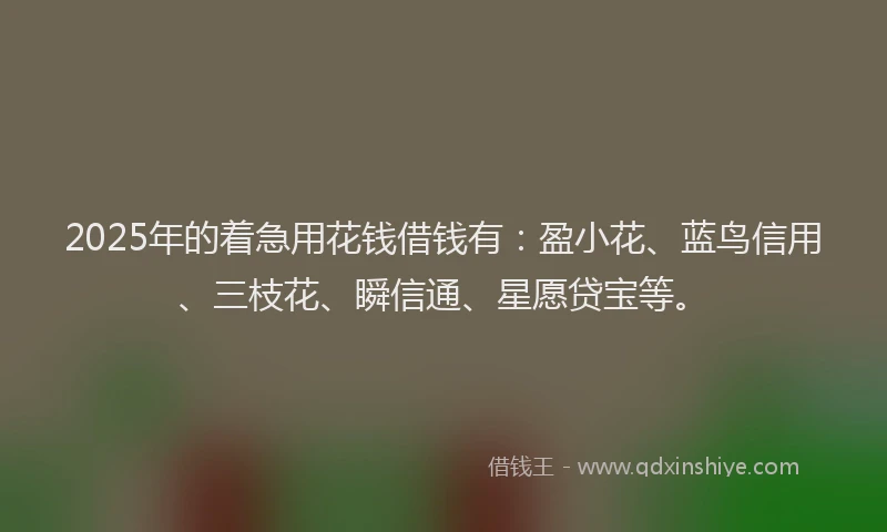 2025年的着急用花钱借钱有：盈小花、蓝鸟信用、三枝花、瞬信通、星愿贷宝等。