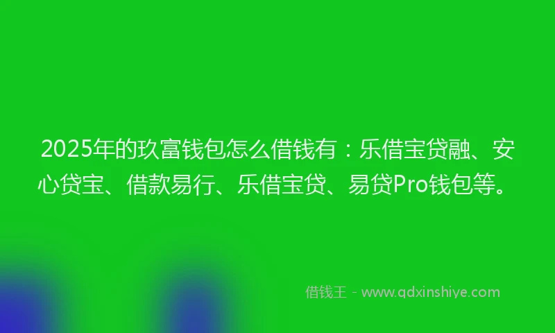 2025年的玖富钱包怎么借钱有：乐借宝贷融、安心贷宝、借款易行、乐借宝贷、易贷Pro钱包等。