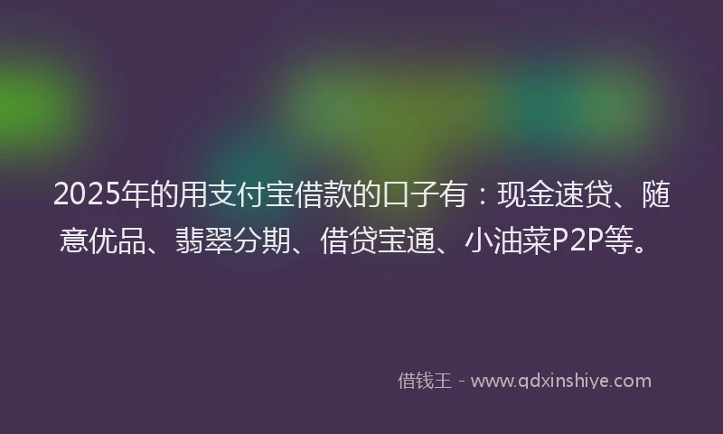 2025年的用支付宝借款的口子有：现金速贷、随意优品、翡翠分期、借贷宝通、小油菜P2P等。