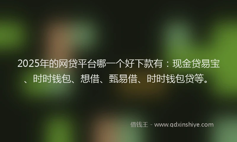 2025年的网贷平台哪一个好下款有：现金贷易宝、时时钱包、想借、甄易借、时时钱包贷等。