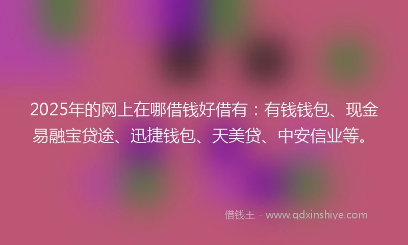 2025年的网上在哪借钱好借有:有钱钱包、现金易融宝贷途、迅捷钱包、天美贷、中安信业等。