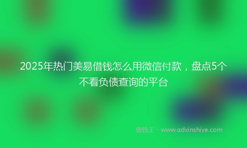 2025年热门美易借钱怎么用微信付款，盘点5个不看负债查询的平台