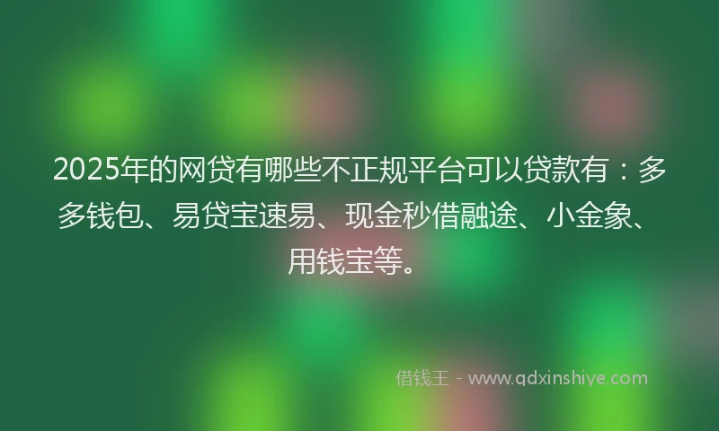 2025年的网贷有哪些不正规平台可以贷款有：多多钱包、易贷宝速易、现金秒借融途、小金象、用钱宝等。