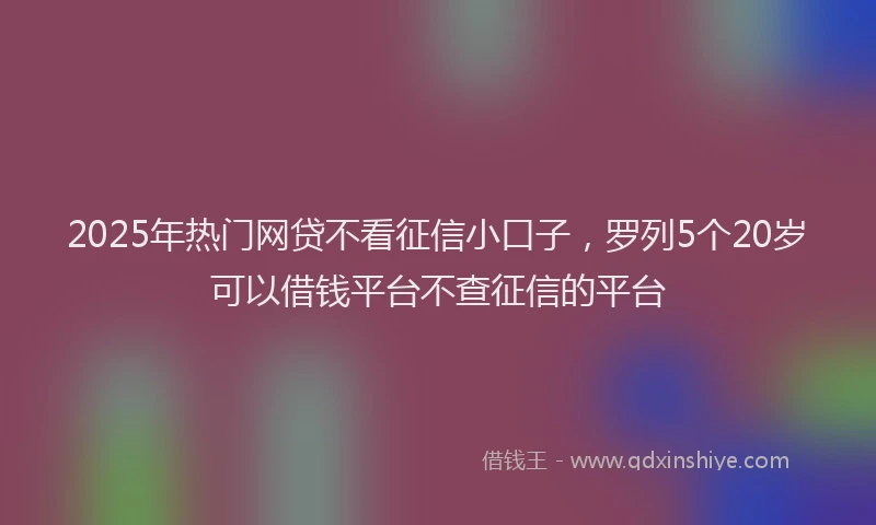 2025年热门网贷不看征信小口子,罗列5个20岁可以借钱平台不查征信的平台