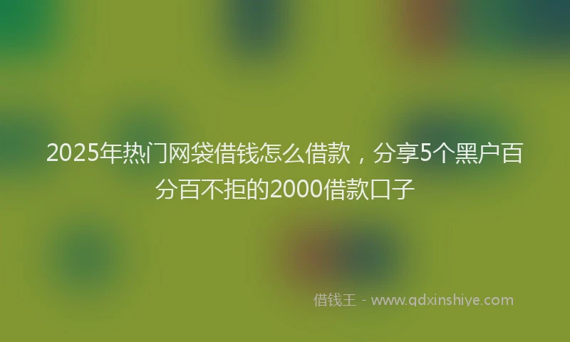 2025年热门网袋借钱怎么借款，分享5个黑户百分百不拒的2000借款口子